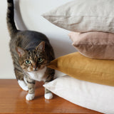 Linen pillow cover