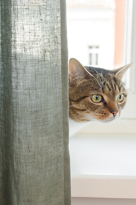 natural-linen-curtains